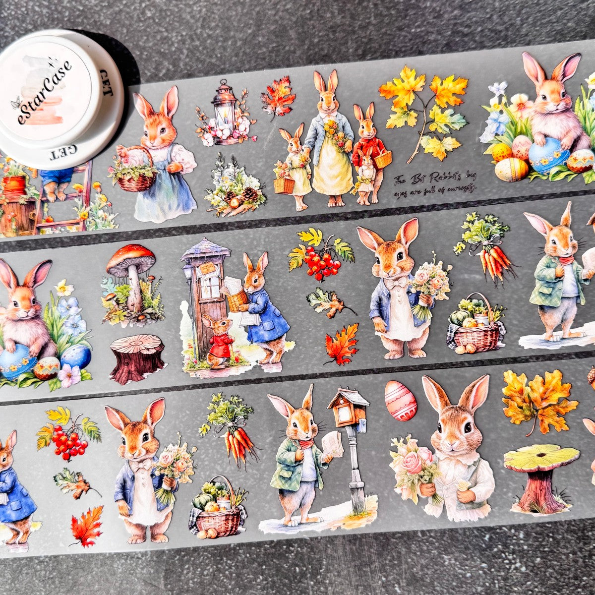 6cm*2m Fairy Tale Rabbit Tape