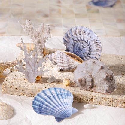 Basket Of Seashells Sticker 30pcs