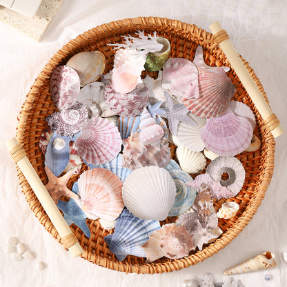 Basket Of Seashells Sticker 30pcs