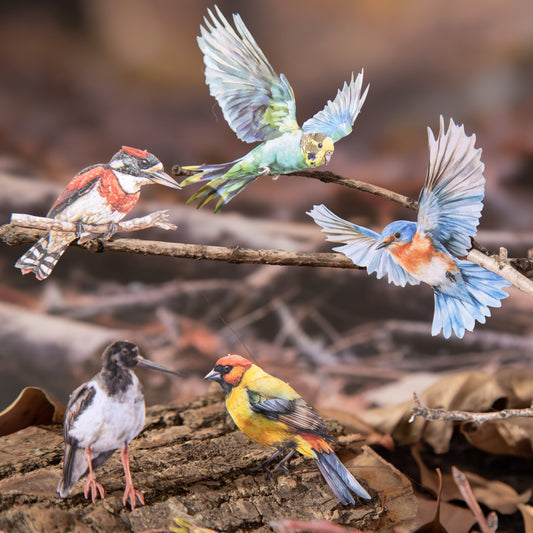 Birds In The Forest Stickers 20pcs