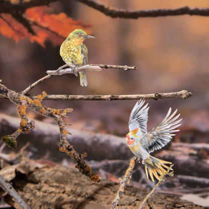 Birds In The Forest Stickers 20pcs
