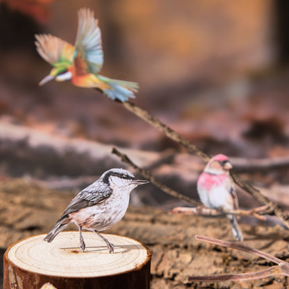 Birds In The Forest Stickers 20pcs