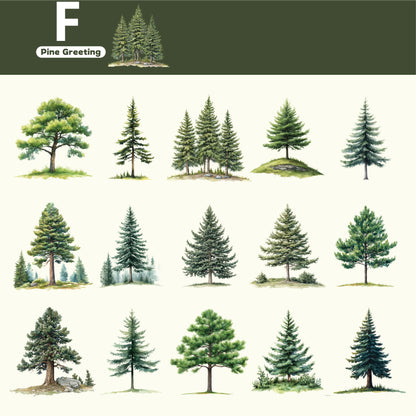 Branch Sticker 15pcs