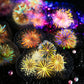 Brilliant Fireworks Stickers 10pcs