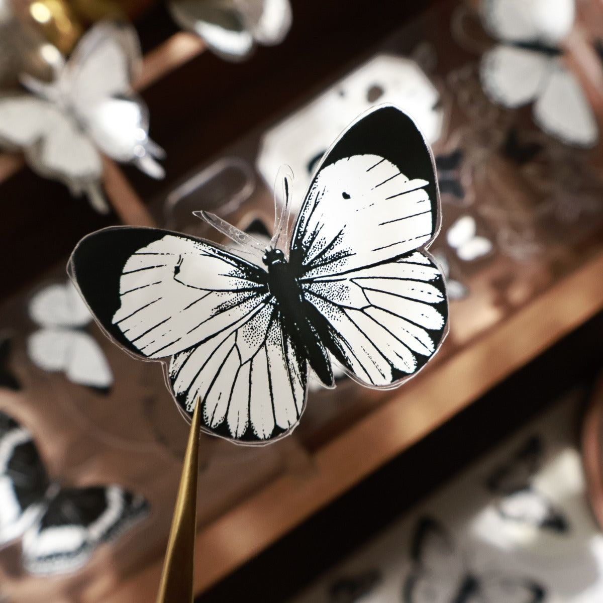 6cm*100cm Butterfly Pre-cut Tape