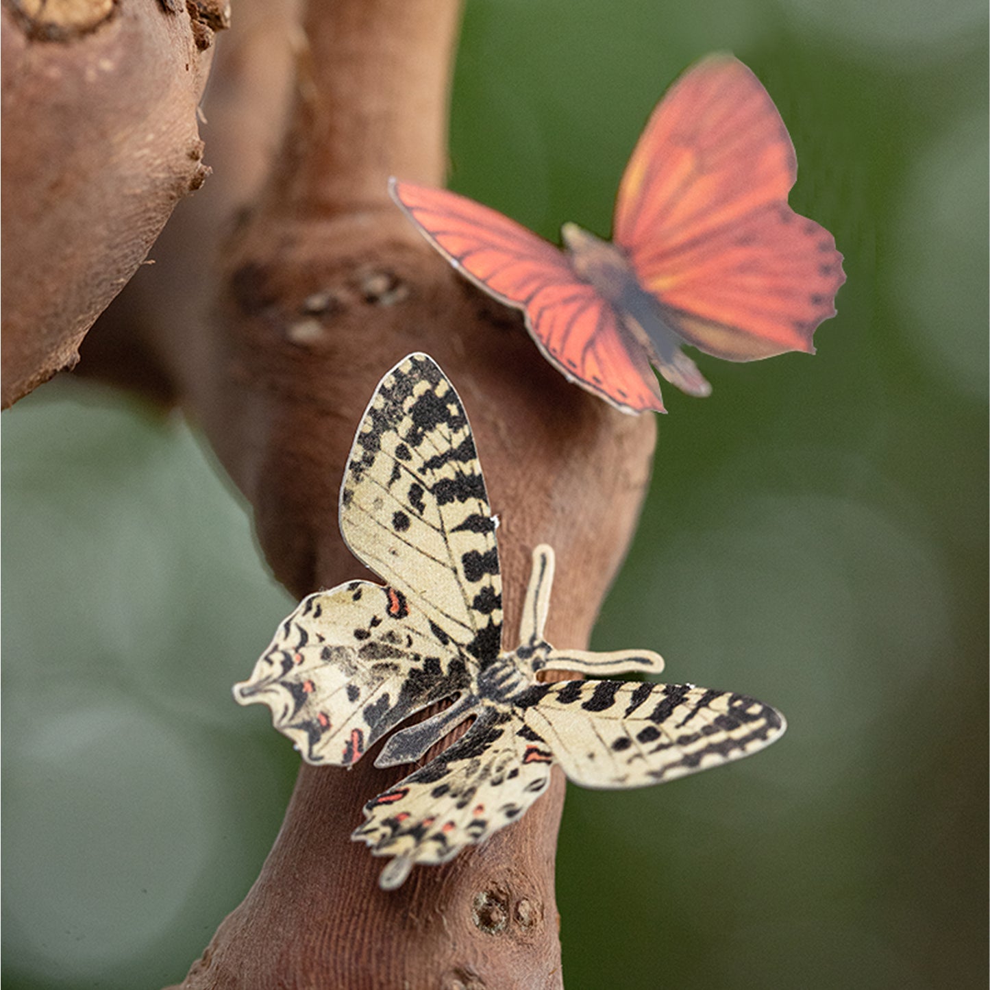 Butterfly Stickers 50pcs