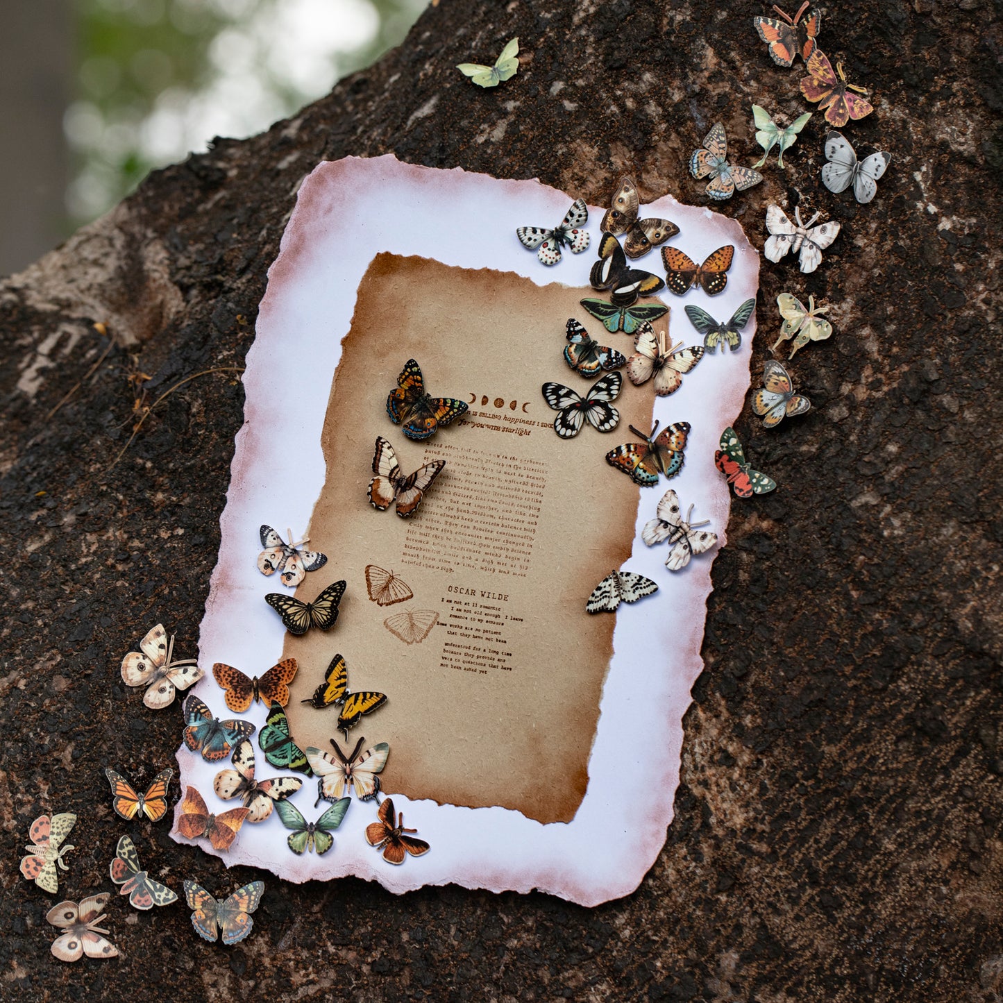 Butterfly Stickers 50pcs