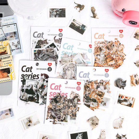 Cat Cat Stickers 50pcs