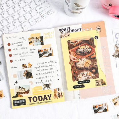 Cat Cat Stickers 50pcs