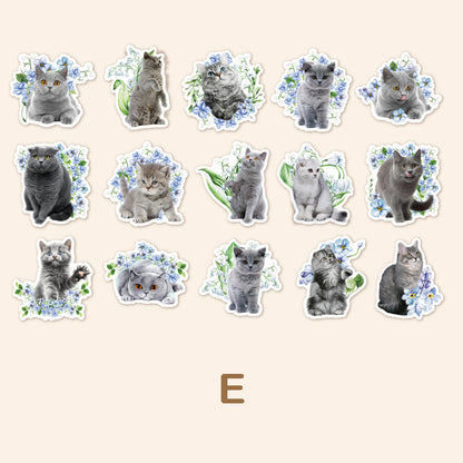 Cute Cat Stickers 45pcs