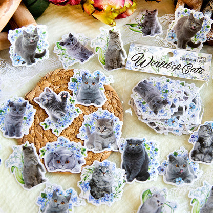 Cute Cat Stickers 45pcs