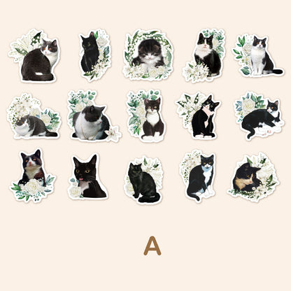 Cute Cat Stickers 45pcs