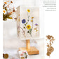Dried Flower Collection Stickers 40pcs