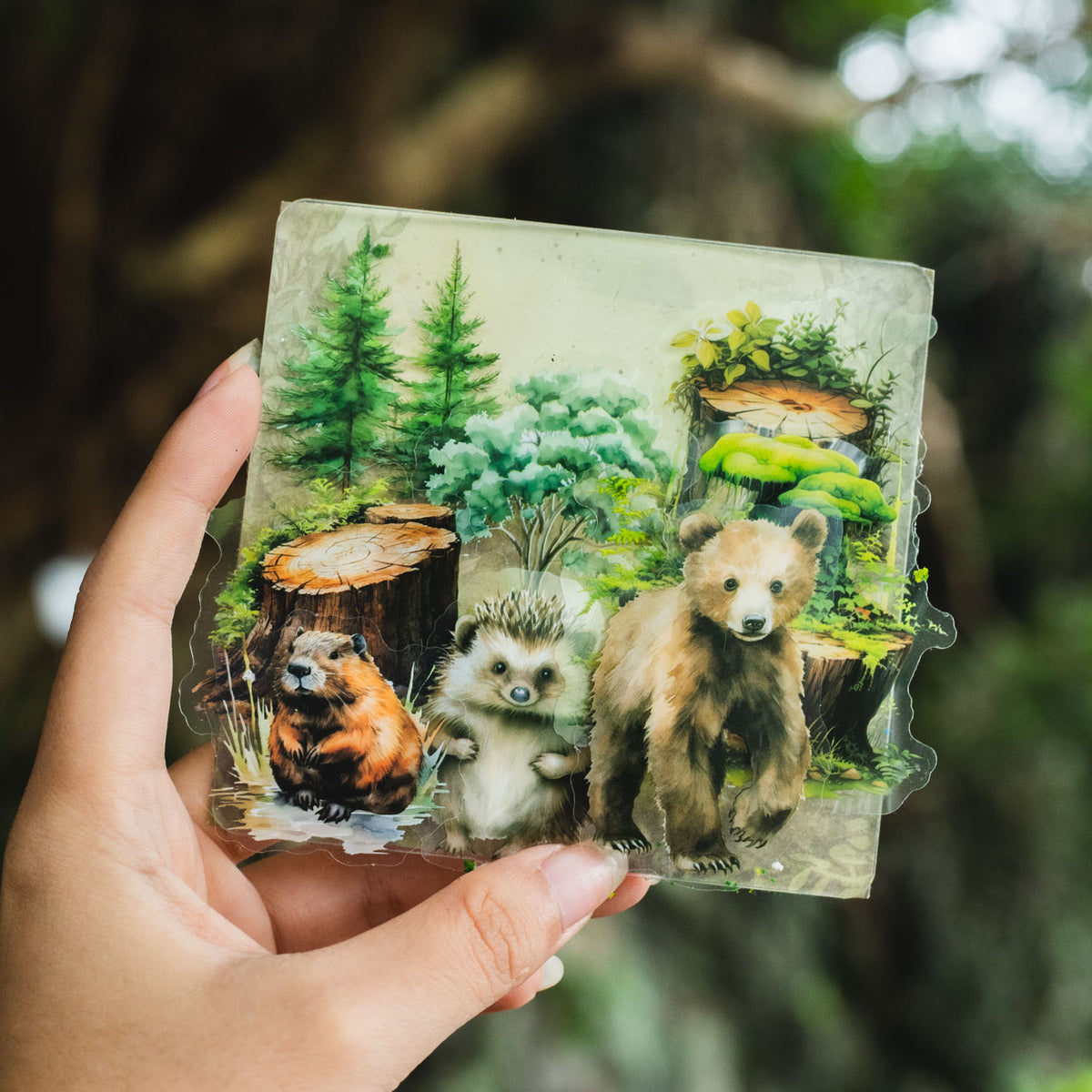Forest Home Sticker 25pcs
