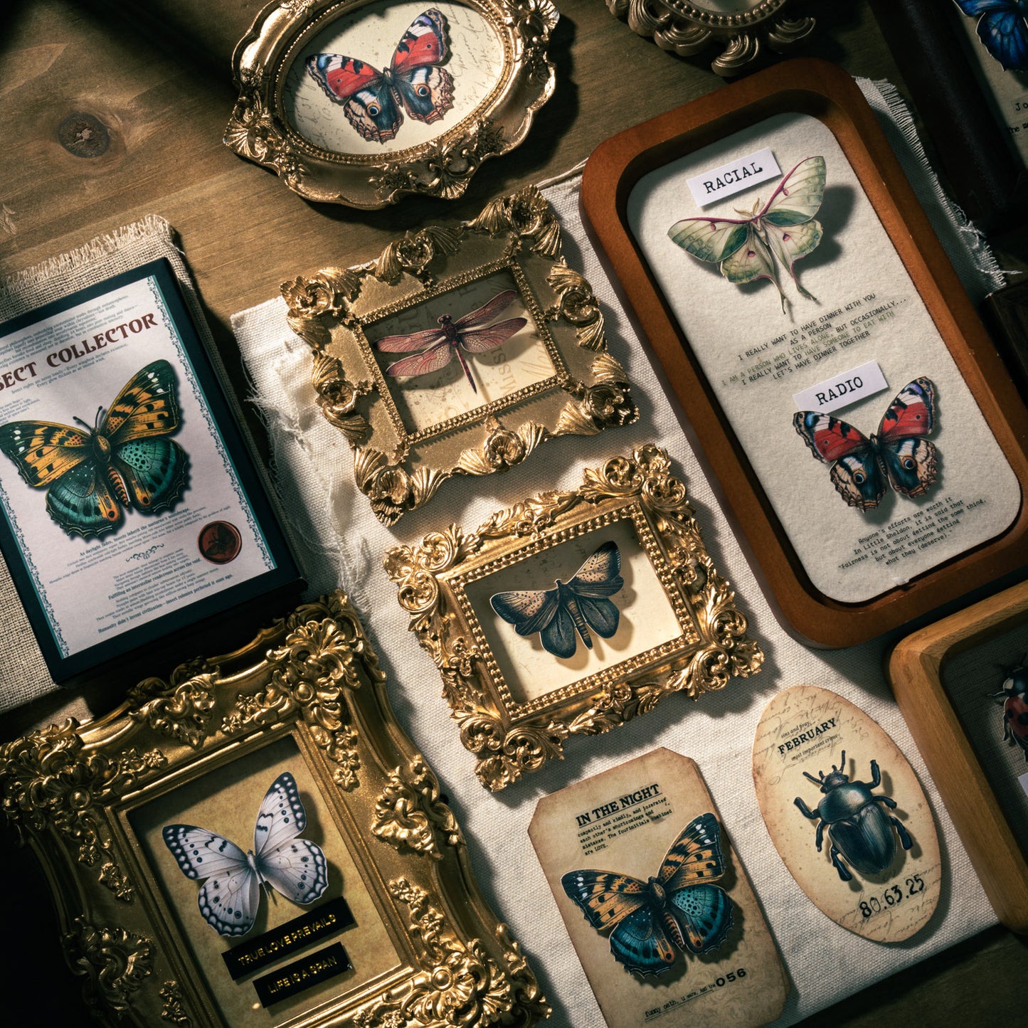 Insect Collector Sticker 100pcs