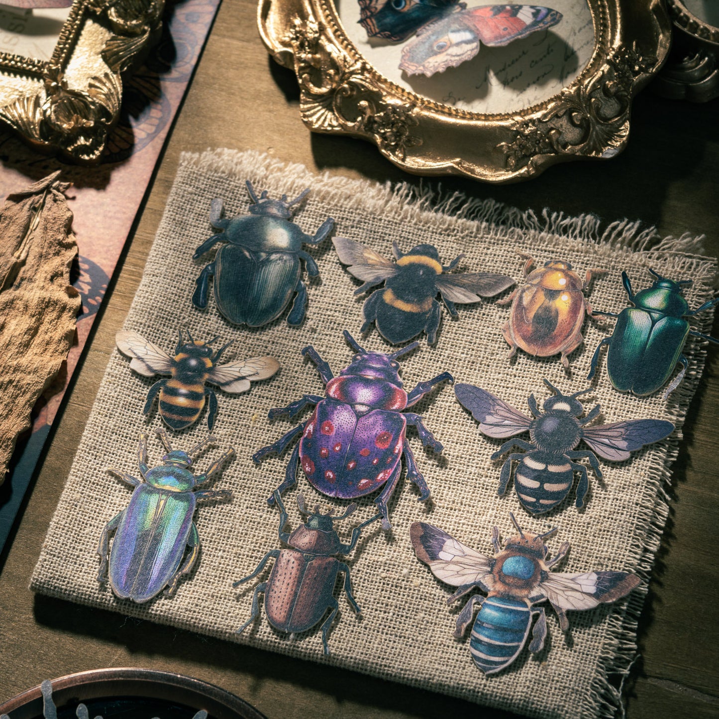 Insect Collector Sticker 100pcs