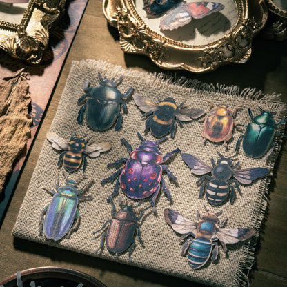 Insect Collector Sticker 100pcs