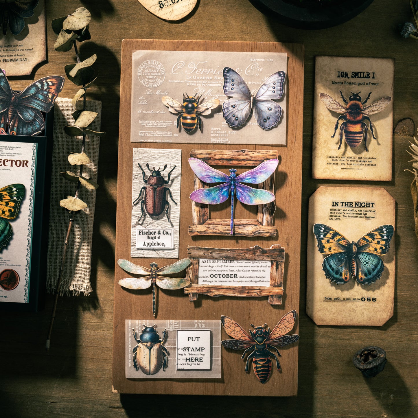 Insect Collector Sticker 100pcs