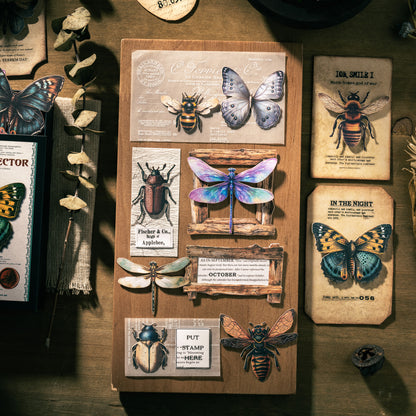 Insect Collector Sticker 100pcs