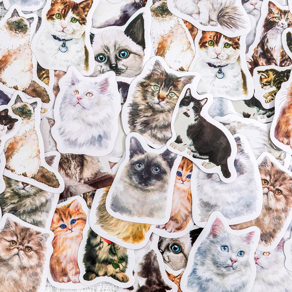 Kitten Diary Stickers 46pcs