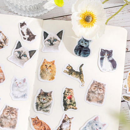 Kitten Diary Stickers 46pcs