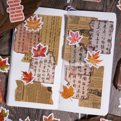 Late Autumn Leaves Stickers 46pcs