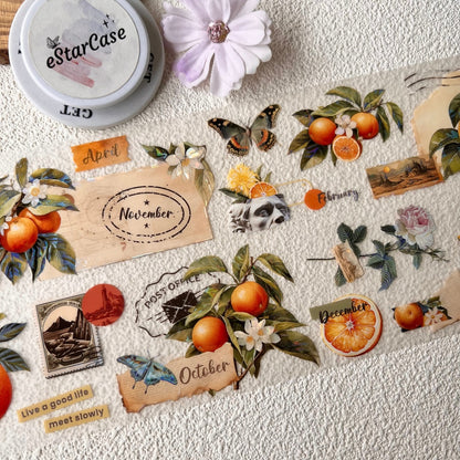 5.5cm*2m Lemon Gallery Tape