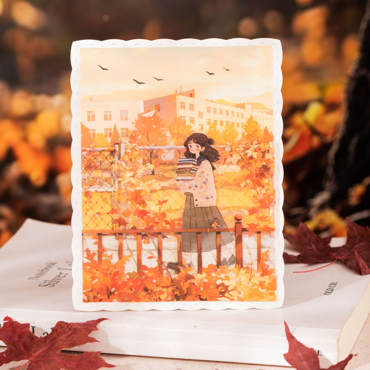 Maple Leaves Falling On The Path All Tape