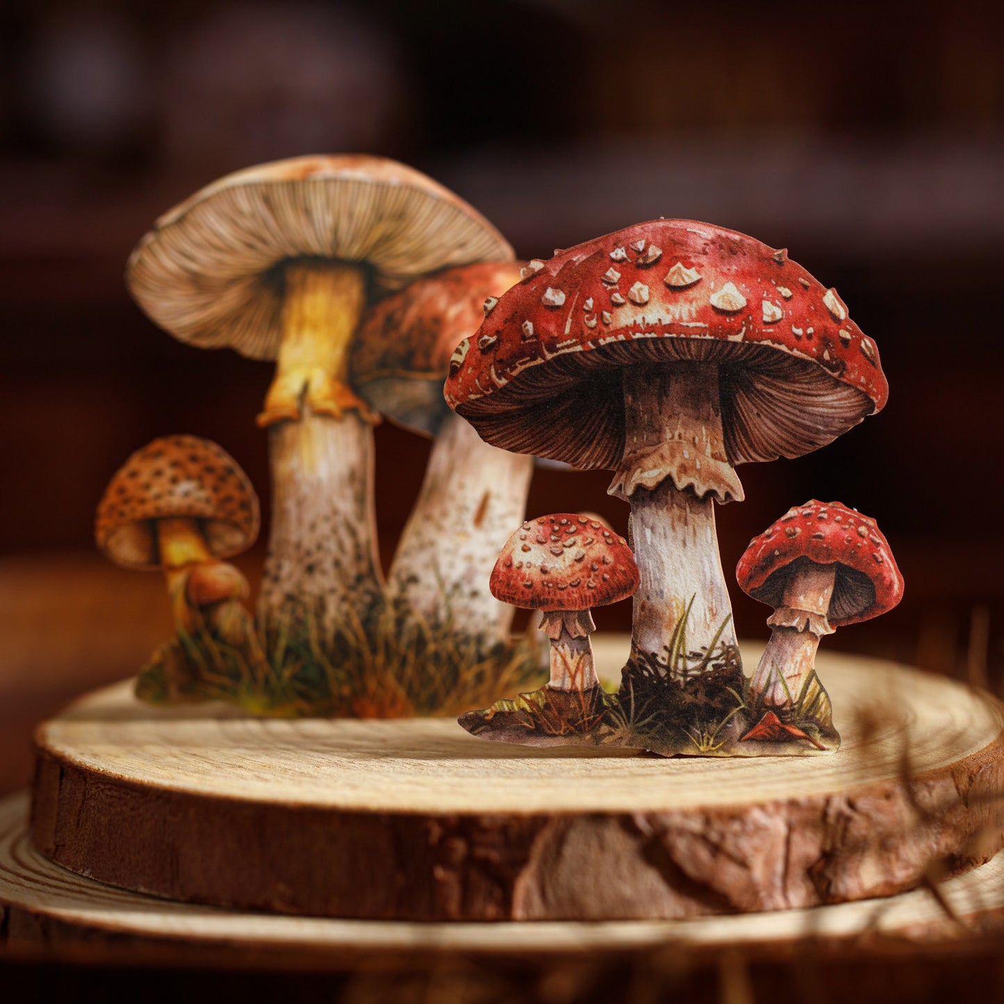 Mushroom Specimen Collection Sticker 25pcs