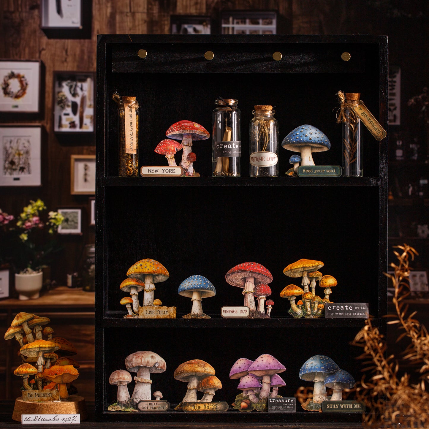 Mushroom Specimen Collection Sticker 25pcs