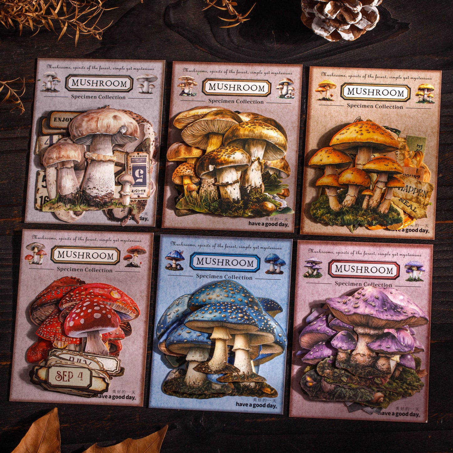 Mushroom Specimen Collection Sticker 25pcs