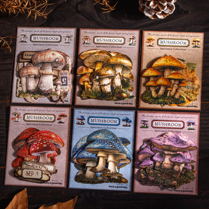 Mushroom Specimen Collection Sticker 25pcs