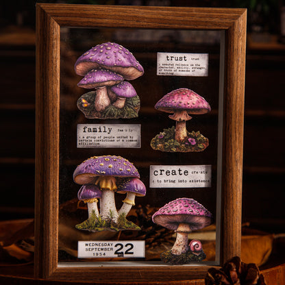 Mushroom Specimen Collection Sticker 25pcs