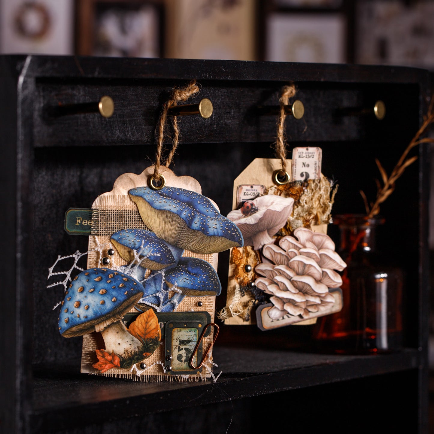 Mushroom Specimen Collection Sticker 25pcs