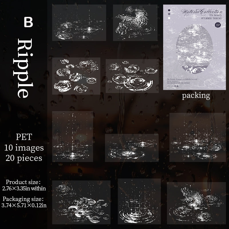 Natural Collection Sticker 20pcs