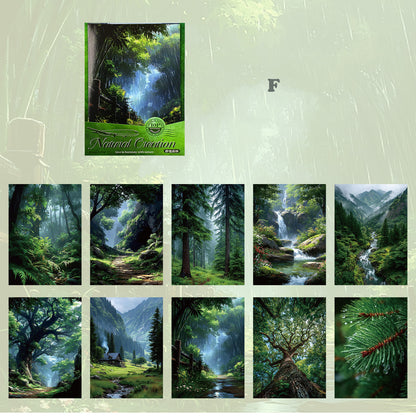 Natural Creation Paper 10pcs