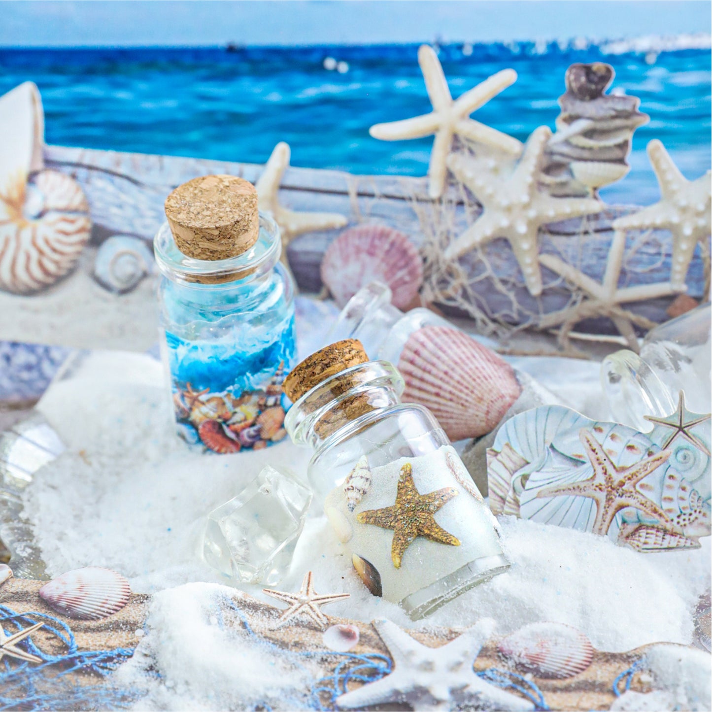 Natural Museum Sticker 10pcs