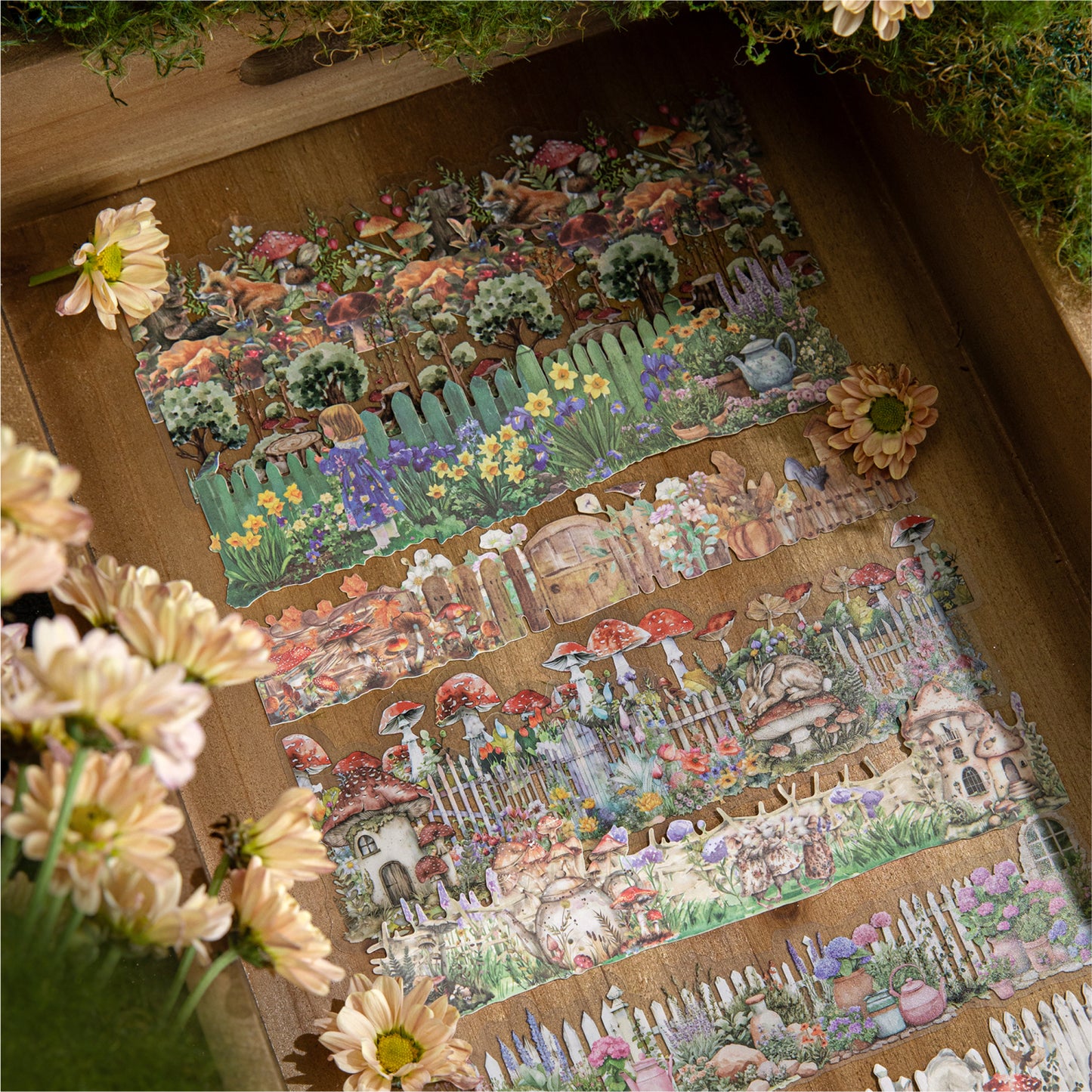 Natural Museum Sticker 10pcs