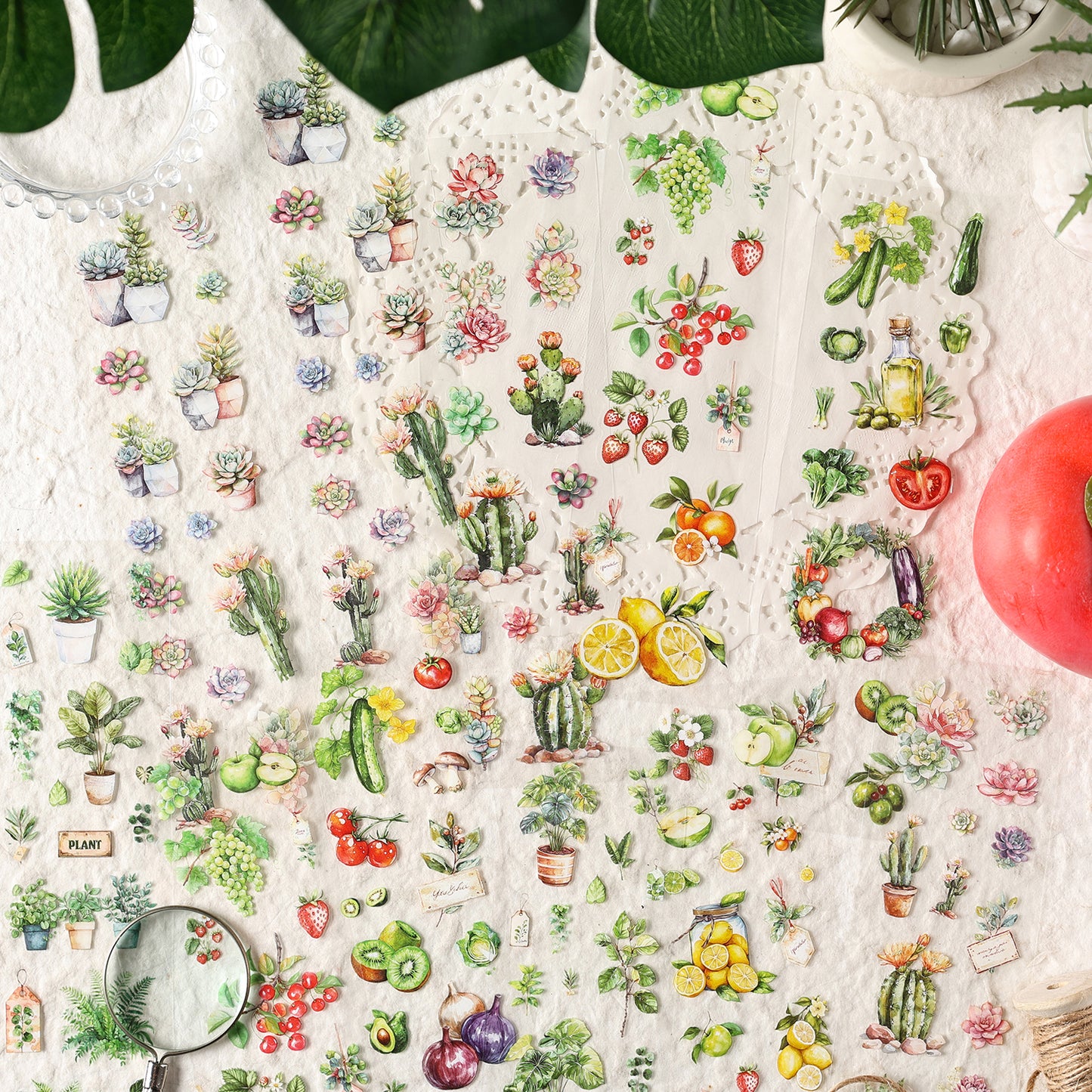 Natural Time Sticker 6pcs