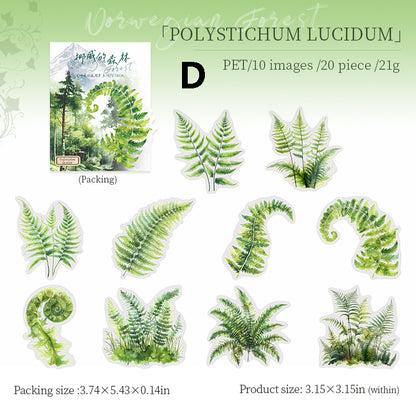 Norwegian forest Sticker 20pcs