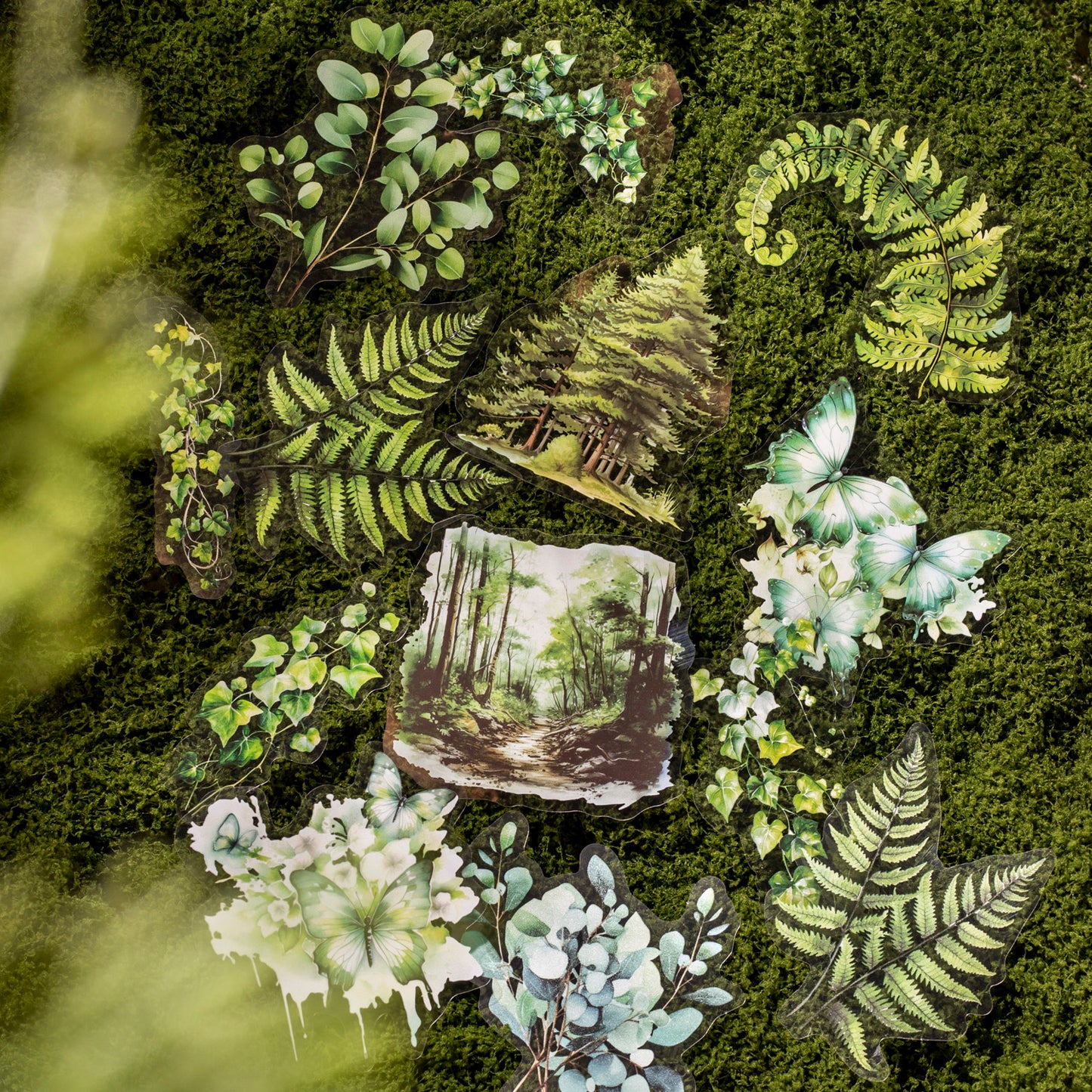 Norwegian forest Sticker 20pcs