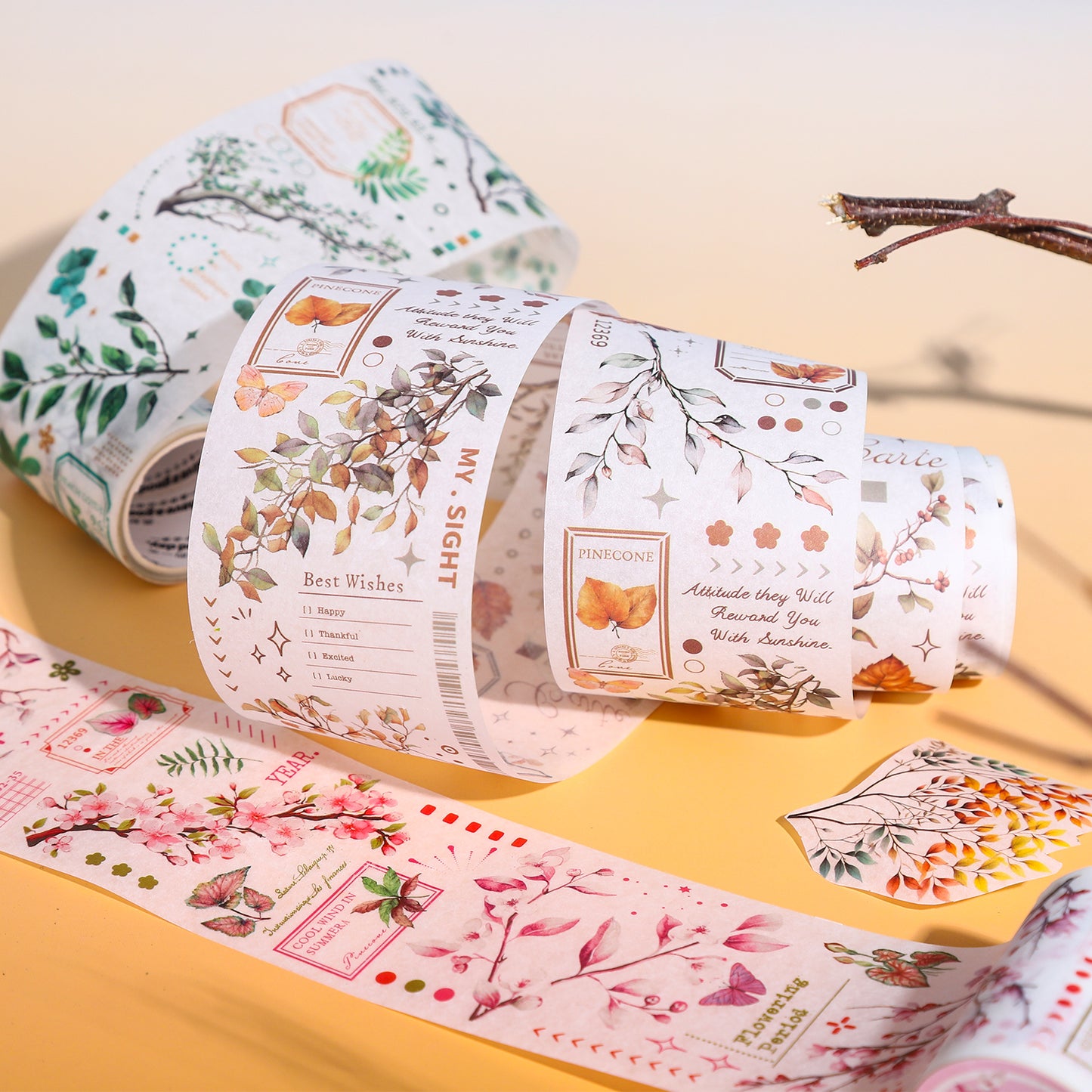 Notes of Branches & Leaves  All Tape