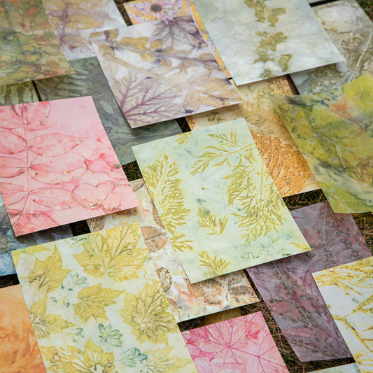 Plant Dyeing Paper 20pcs