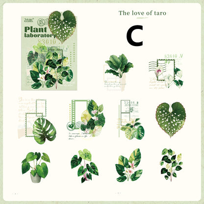 Plant Laboratory Stickers 20pcs
