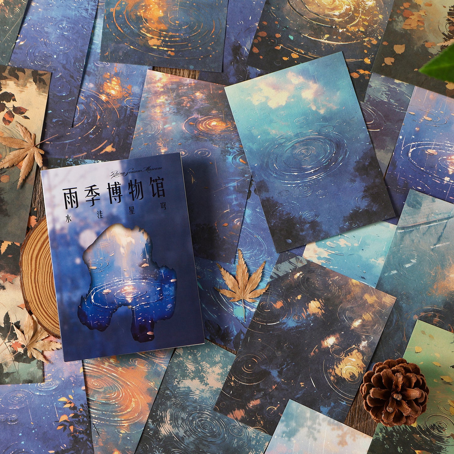 Rainy Season Museum Sticker 30pcs