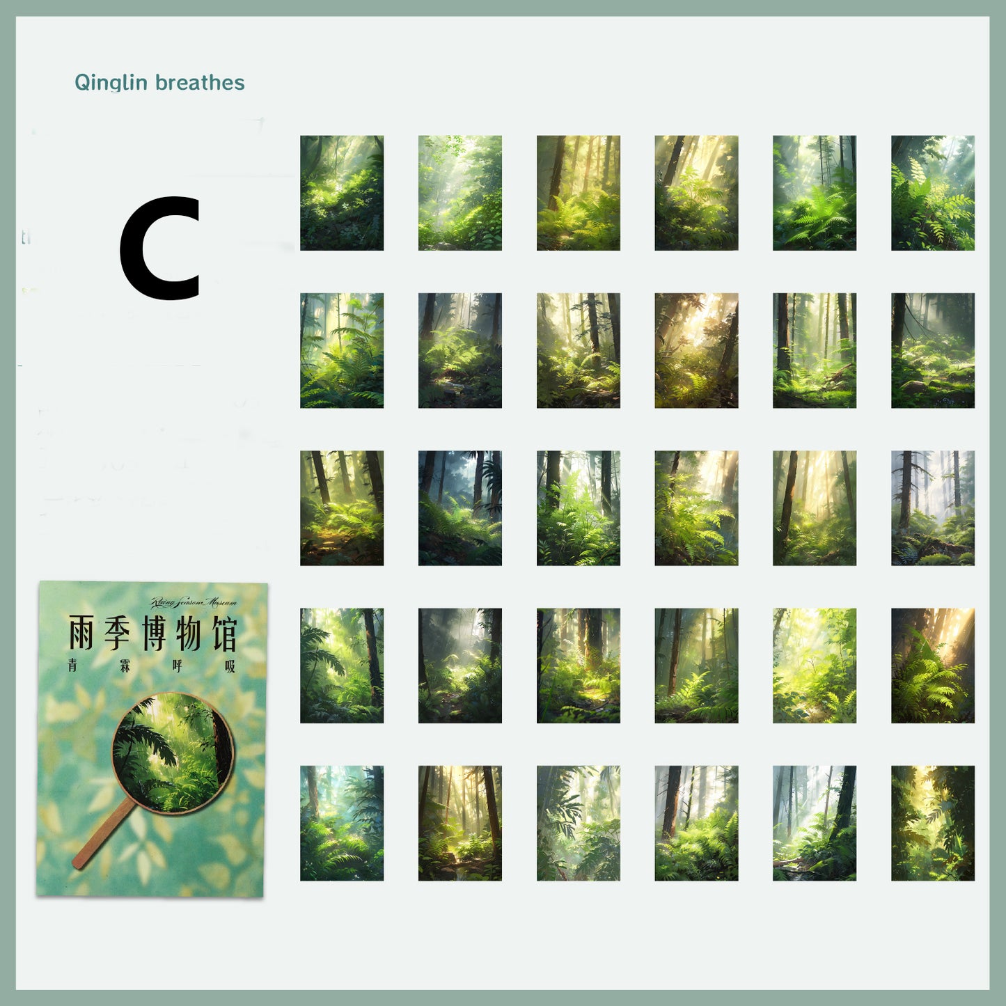 Rainy Season Museum Sticker 30pcs