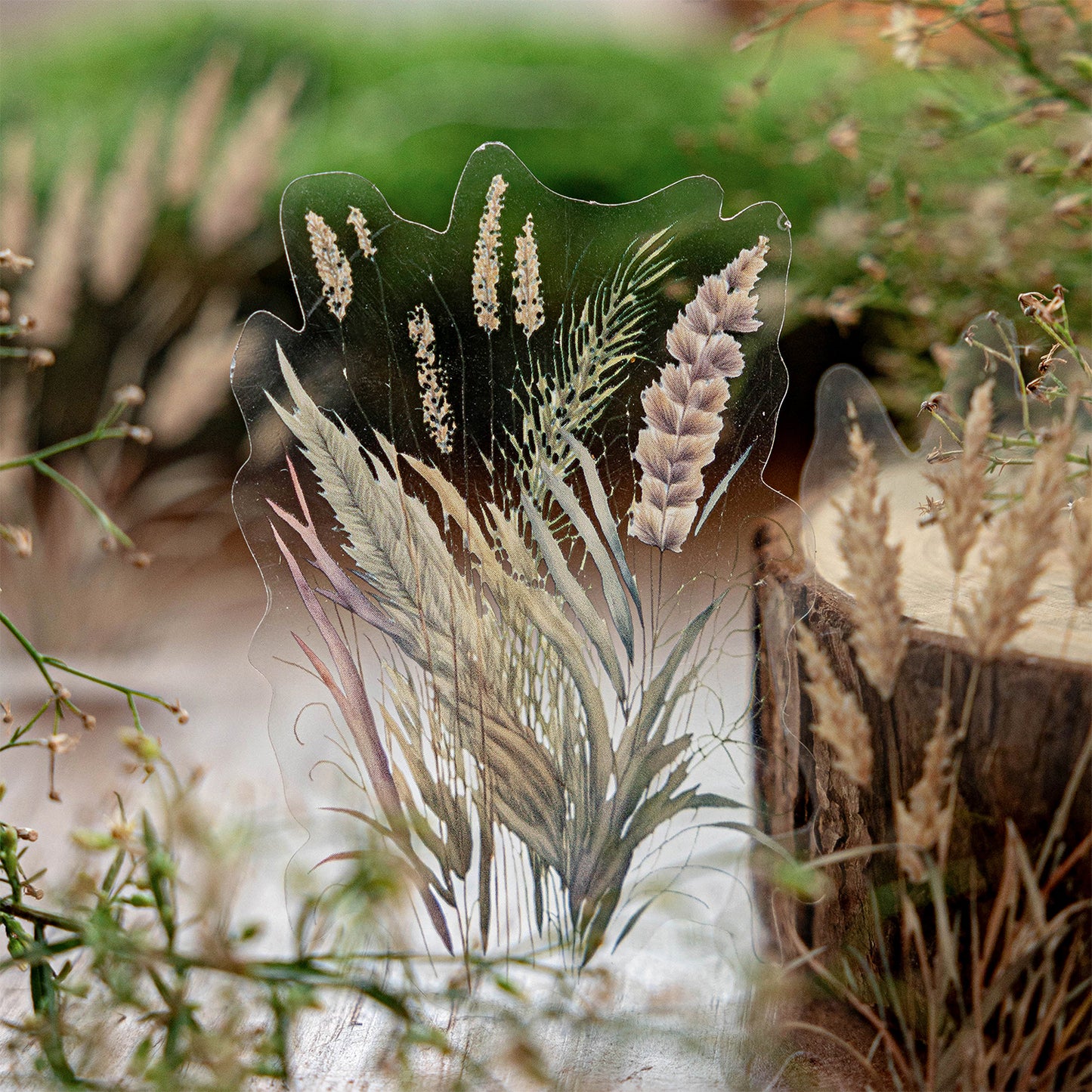 Reed Catkins Sticker 10pcs