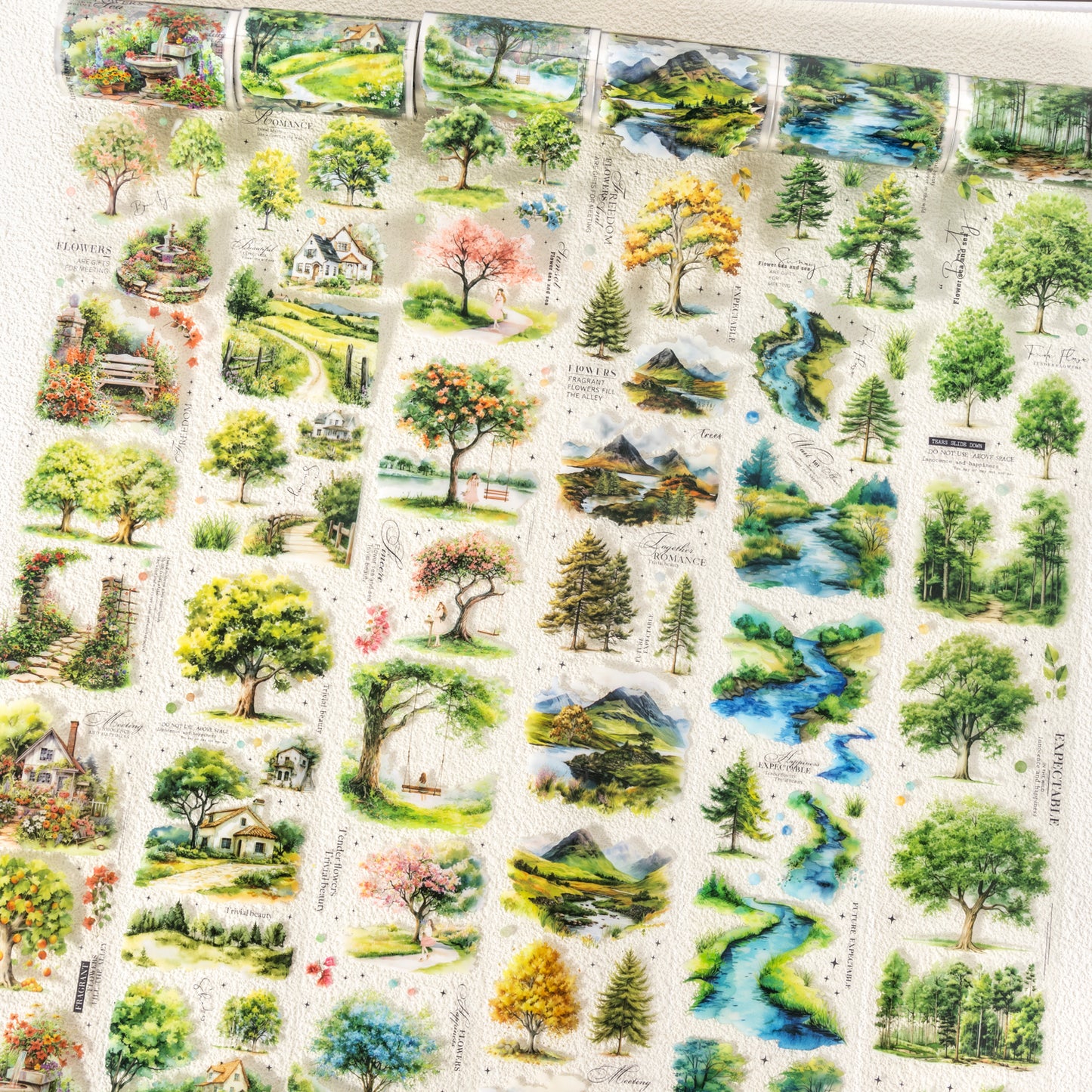 Scenery of A Tree Tape