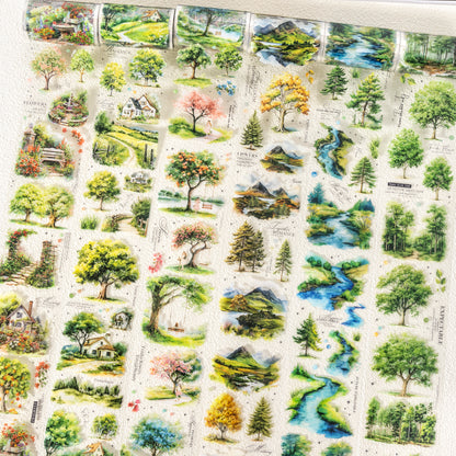 Scenery of A Tree Tape