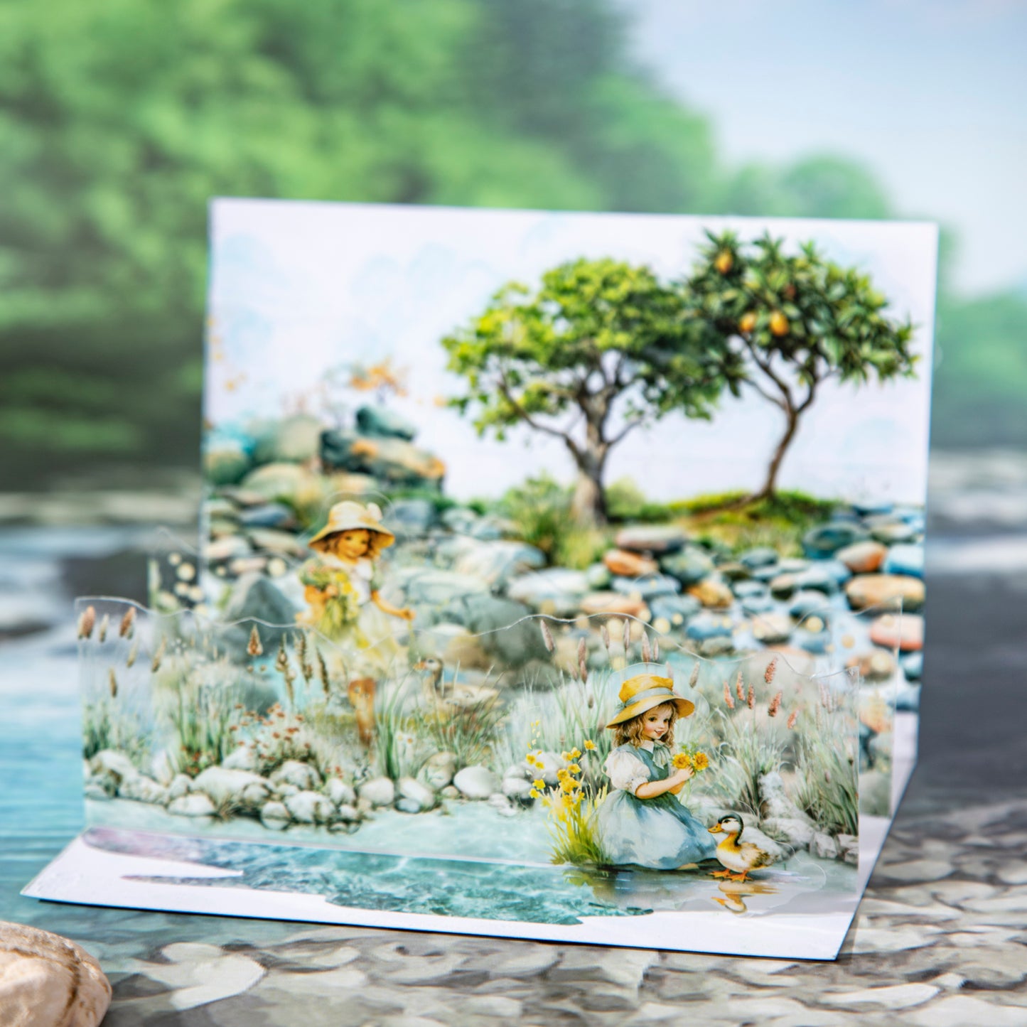 Seine River PET Tape